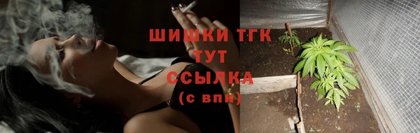 сатива Белоозёрский